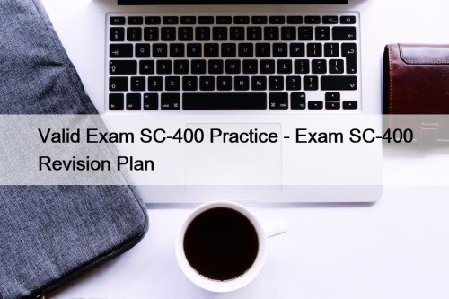 Valid Exam SC-400 Practice - Exam SC-400 Revision Plan